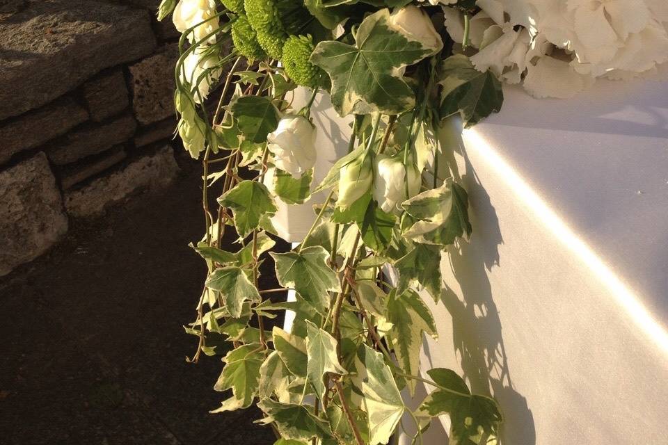 Profumo di Lavanda