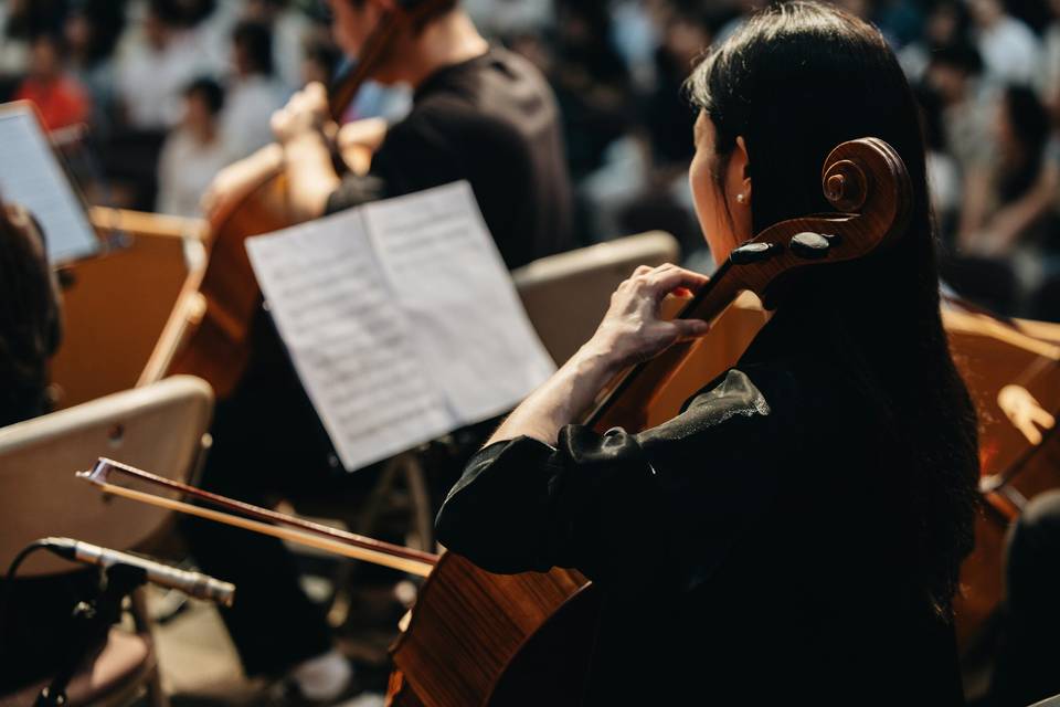 Musica matrimonio Piacenza