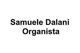 Samuele Dalani Organista