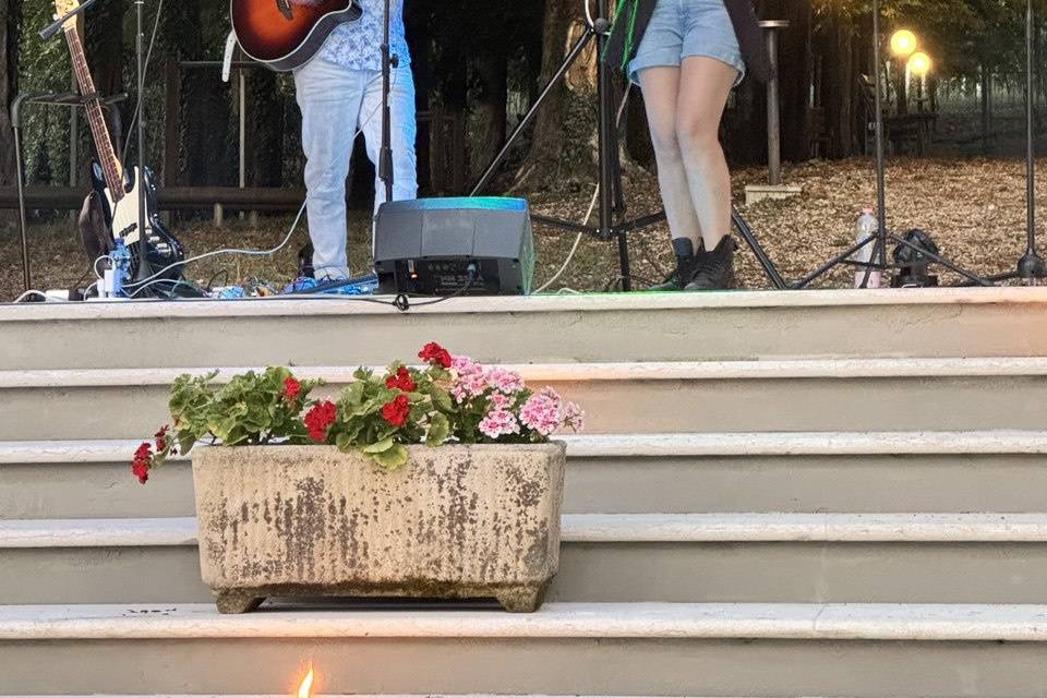 RePop Live