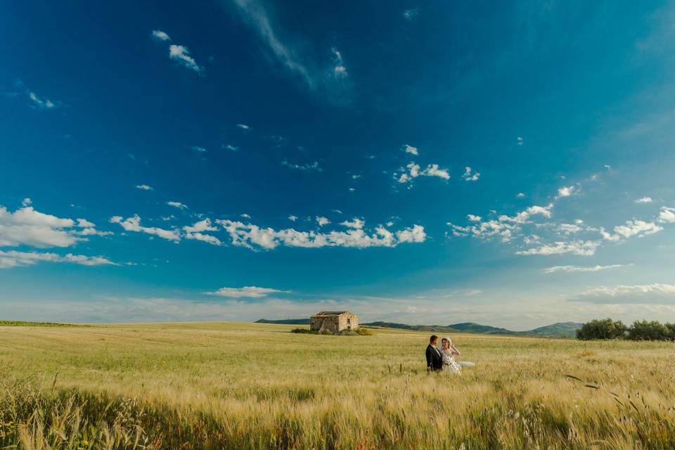 Vigneto siculo, Partinico (PA)