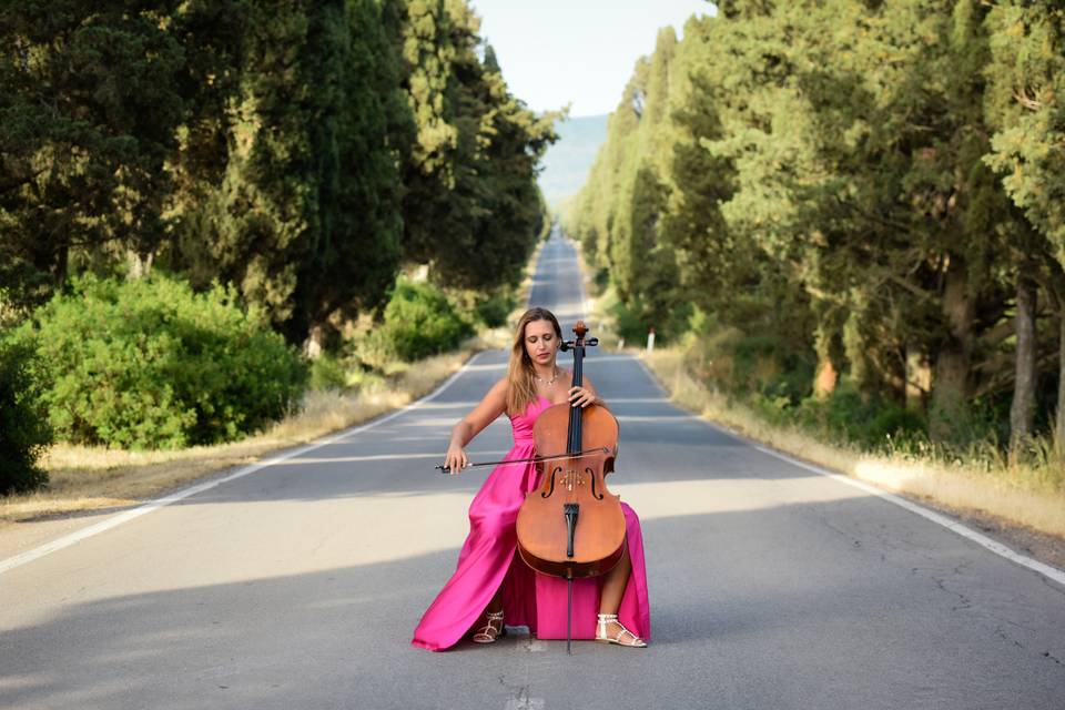 Viale dei Cipressi, Bolgheri