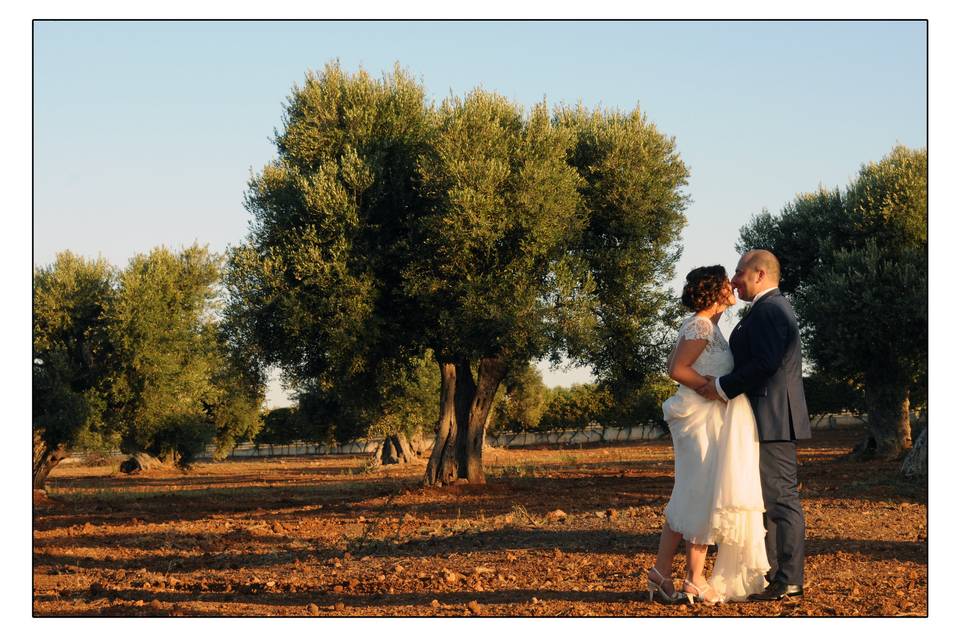 Alessandro Mondelli Fotografia