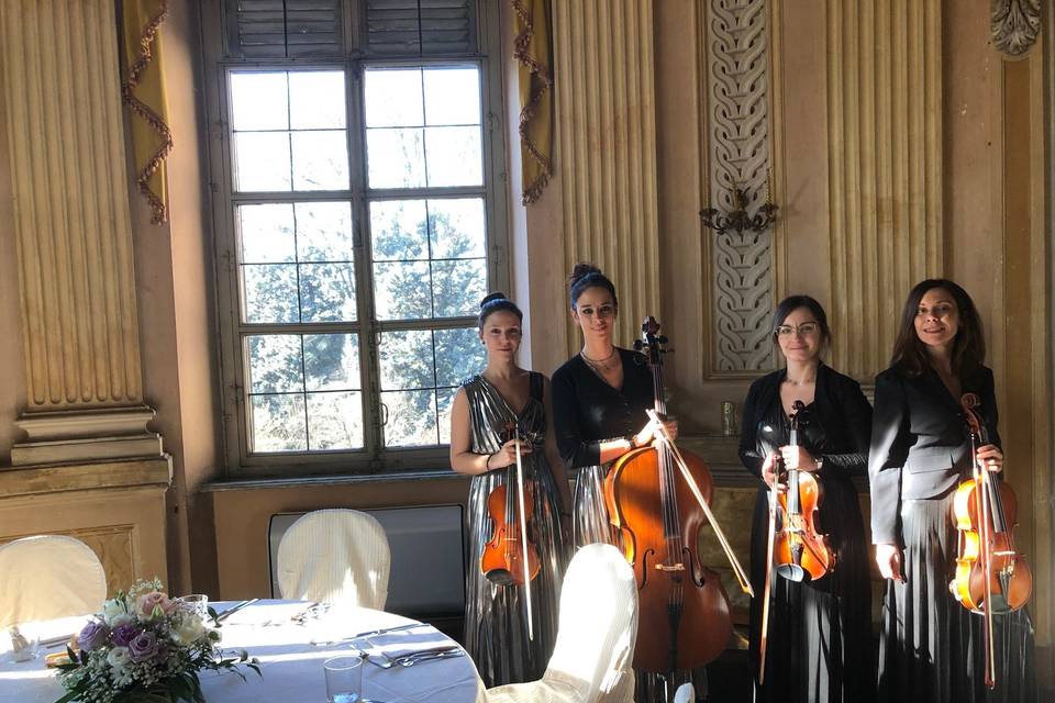 Quartetto Violiniste