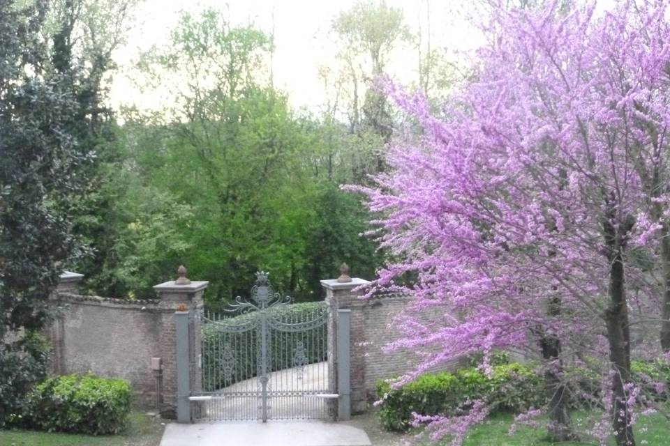 Il giardino - vista dal salone