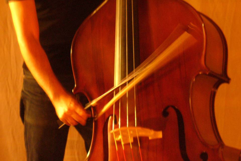 Domenico