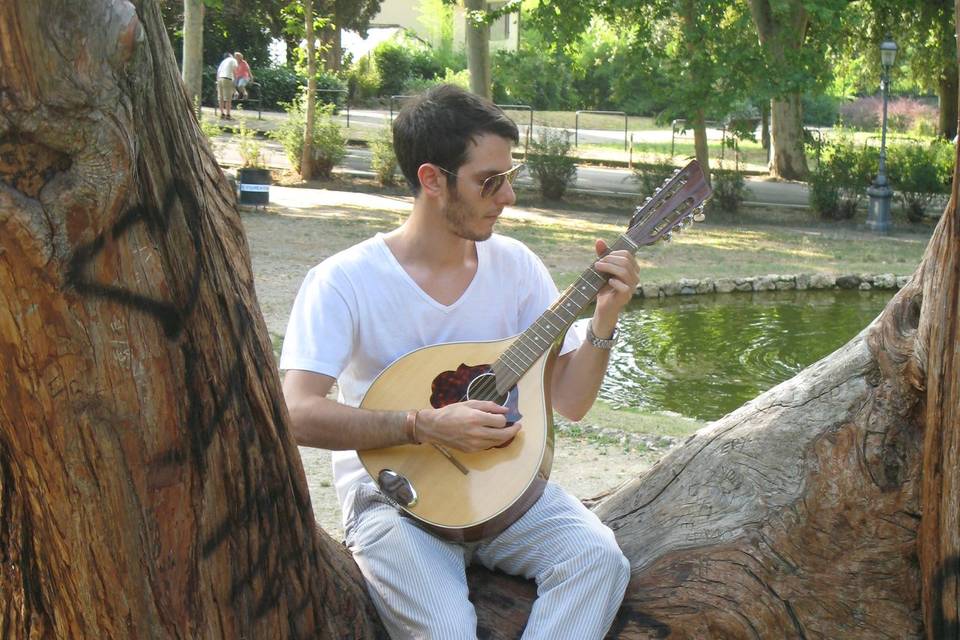 Alessandro (cetra)