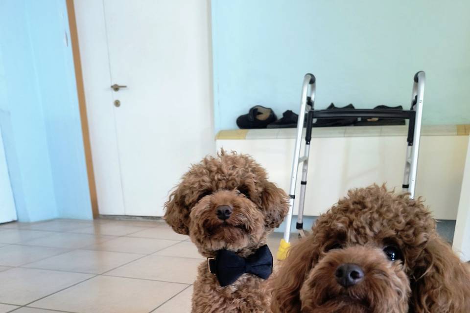 Garrett e Cooper pronti