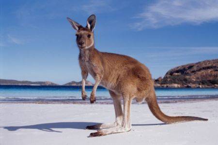 Australia