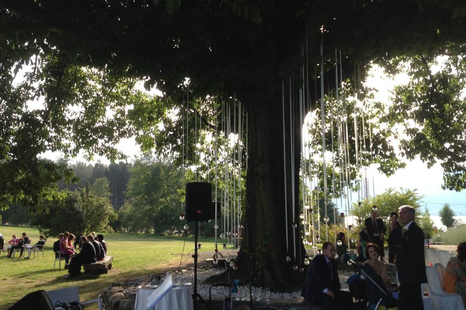 Matrimonio sotto una quercia!