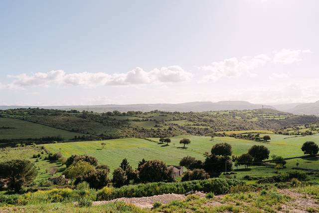 Vista