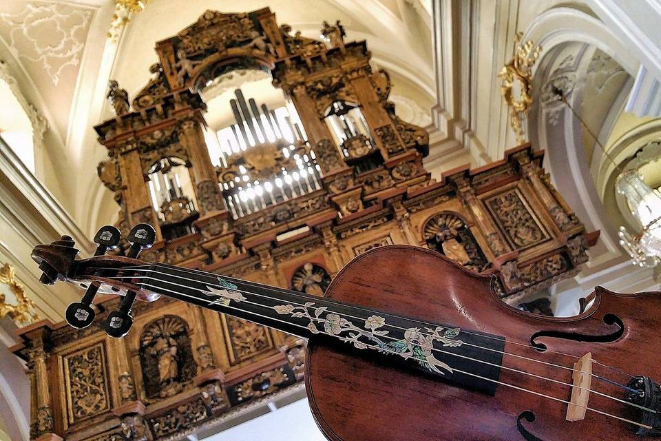 Francesca violinista