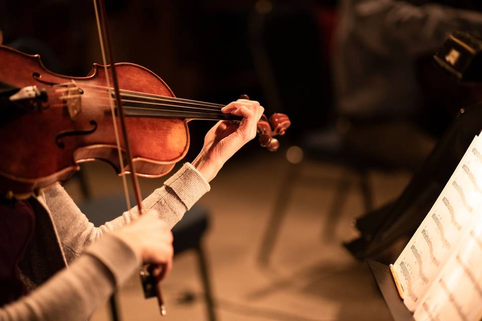 Francesca violinista