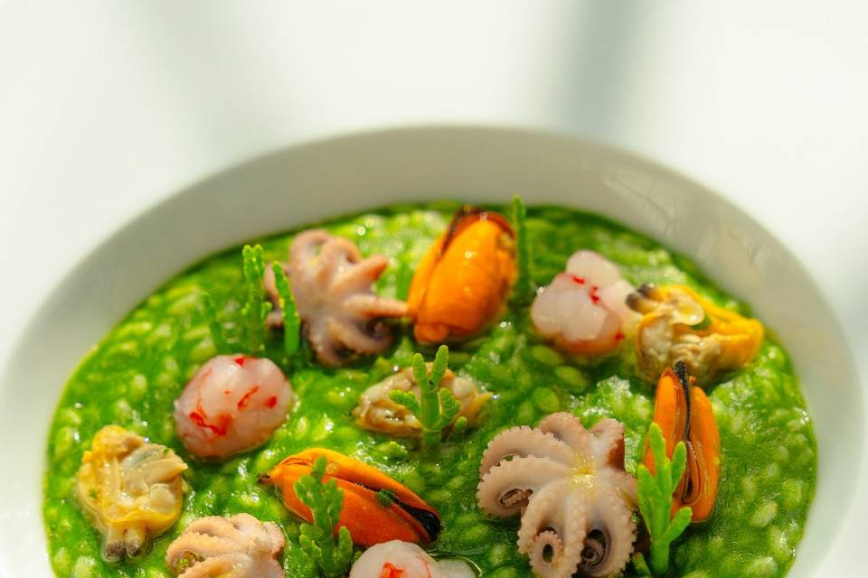 Risotto di mare alla clorofill