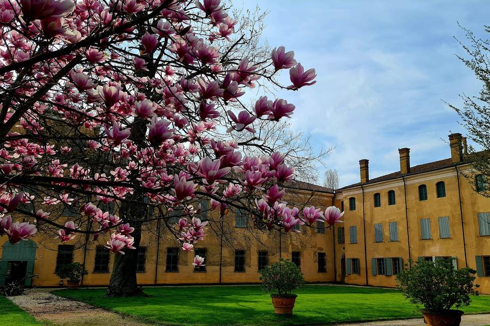 Villa Alessia in fiore