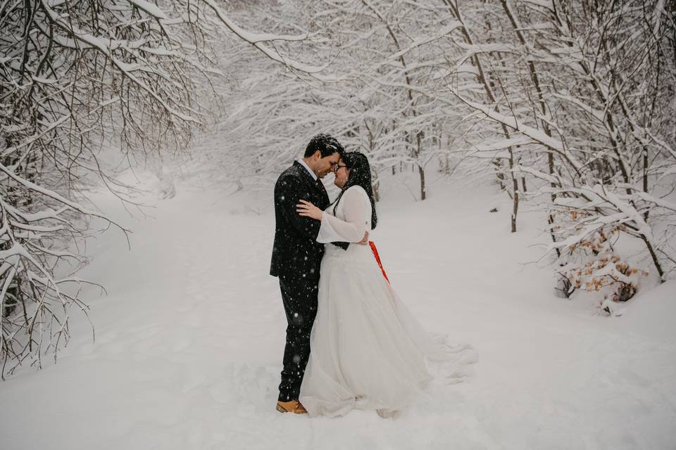 Winter Wedding