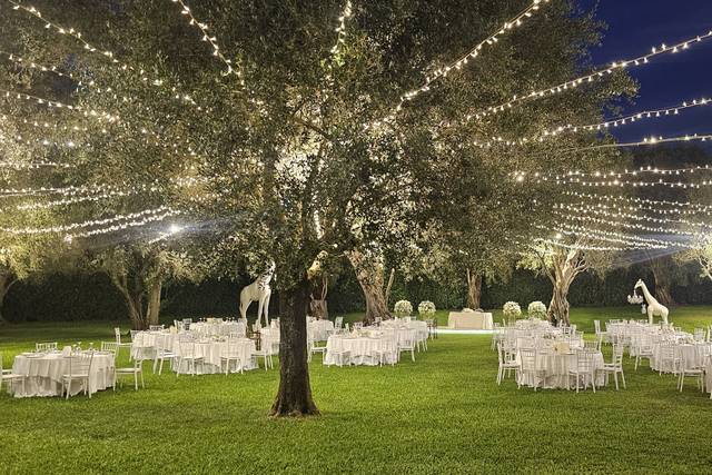 Villa Principessa