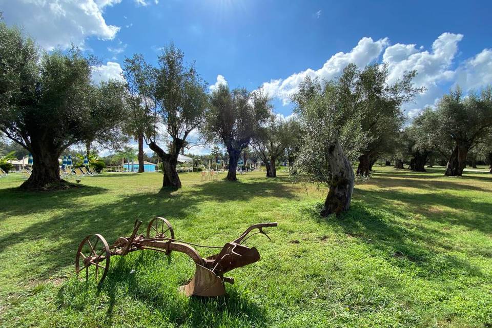 Uliveto Principessa Resort