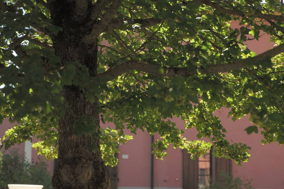 Casa Padronale