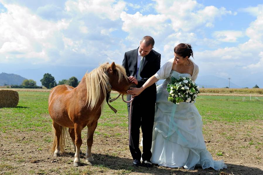Sposi con il pony