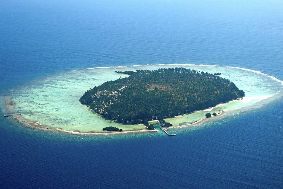 Kura Kura, Indonesia