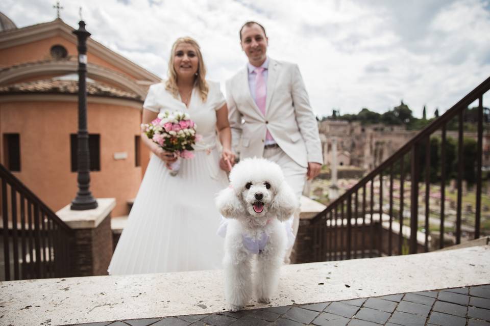 Dog-friendly weddings Rome