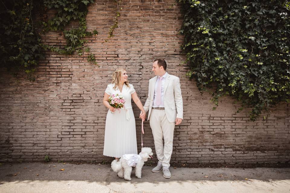 Dog-friendly weddings Rome
