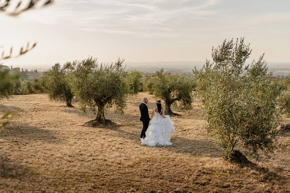 Il nostro Sì tra gli ulivi