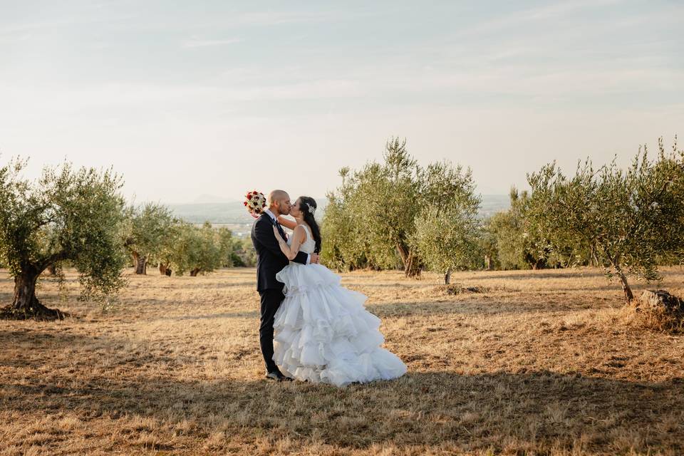 Sposi tra gli ulivi: Roma