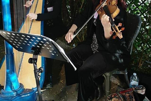 Arpa e Violino
