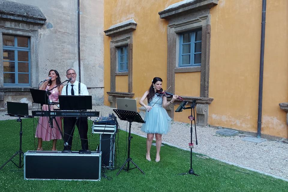 Violino pop in location