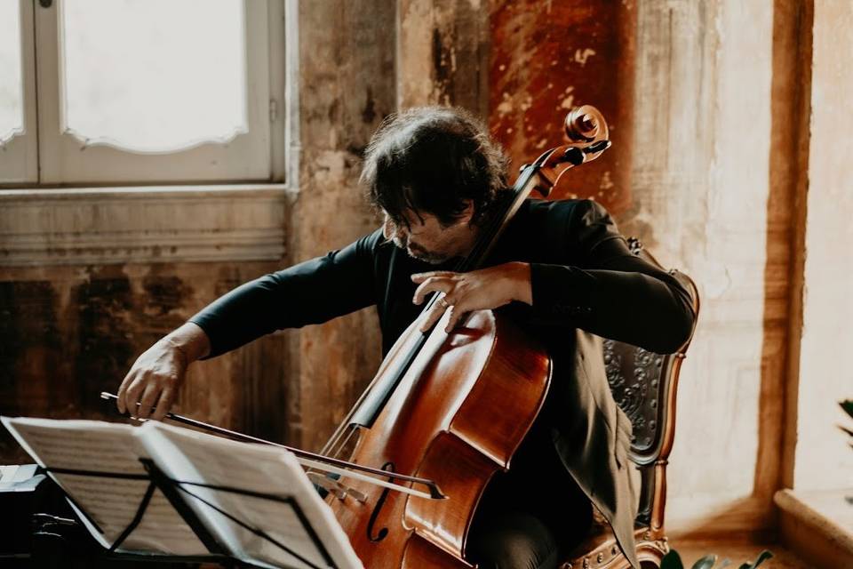 Violoncello