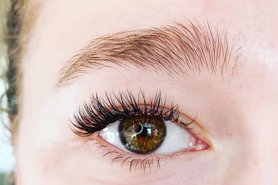 Fa Illusion Lashes