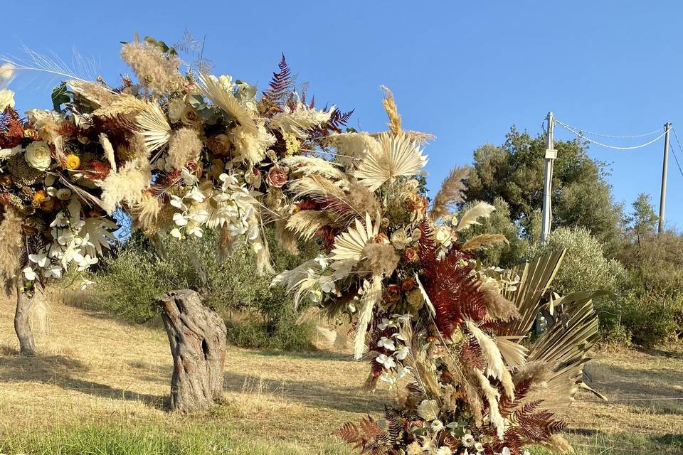 Gianni Cortese Floral Designer