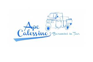 Ape Calessino Barumini in Tour logo