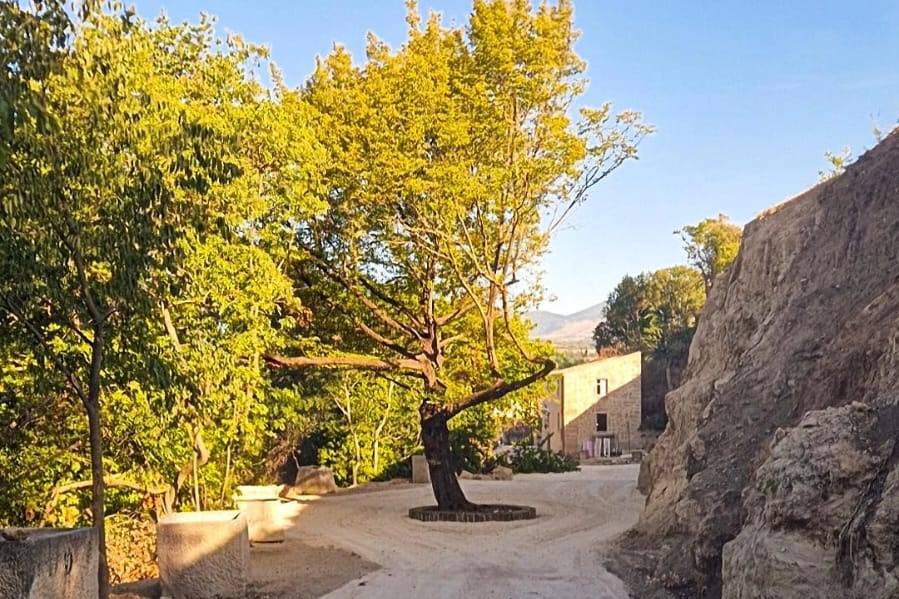 Ingresso dal bosco