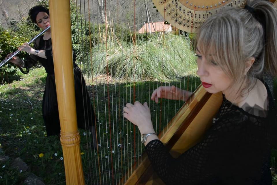 Pina Rubino - Arpista