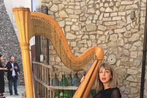 Arpa matrimonio