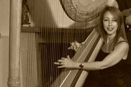 Musicista
