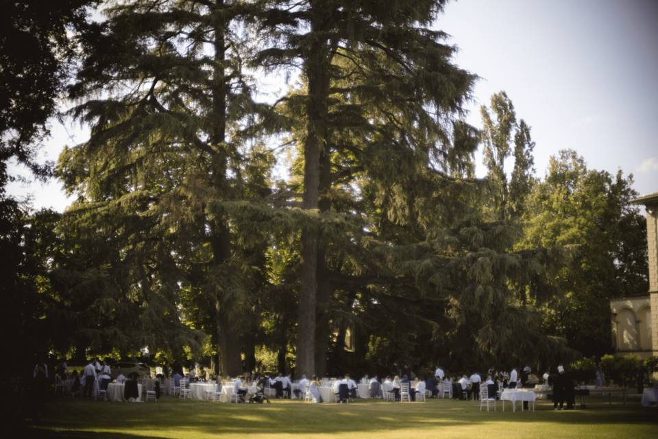 Gli alberi monumentali