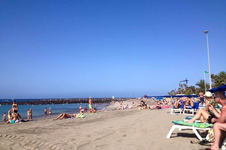 Canarie foto cliente
