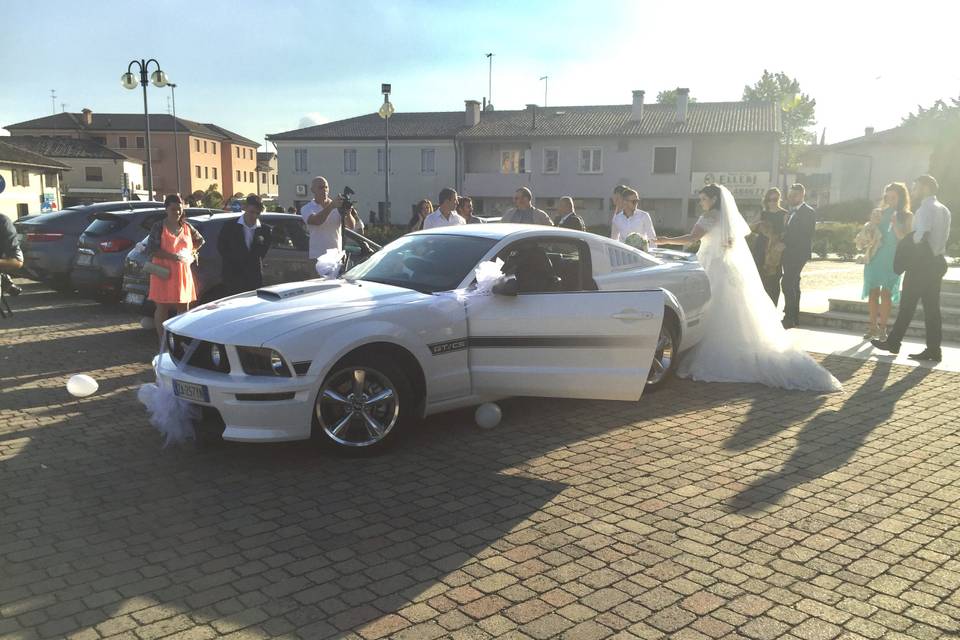 Wedding in Padova