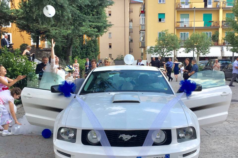 Wedding in Verona City