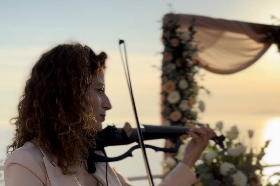 Violino
