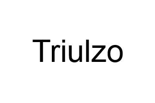 Triulzo logo