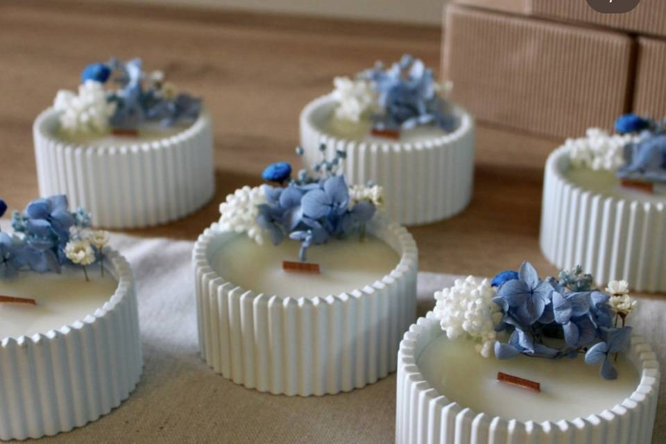 Contenitore gesso