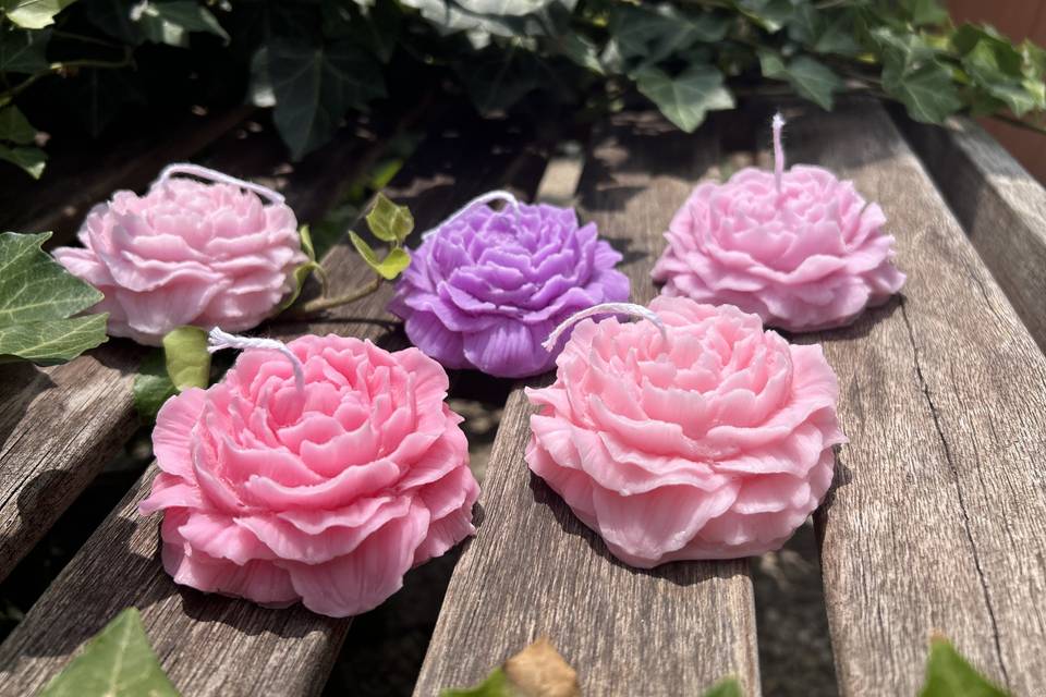 Peonia