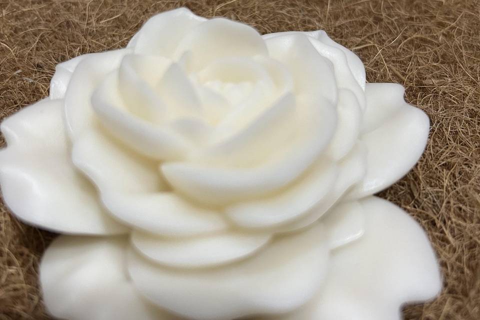 Fiore di magnolia
