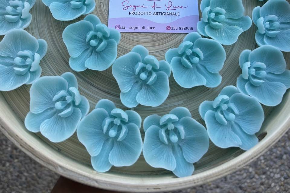 Orchidea segnaposto