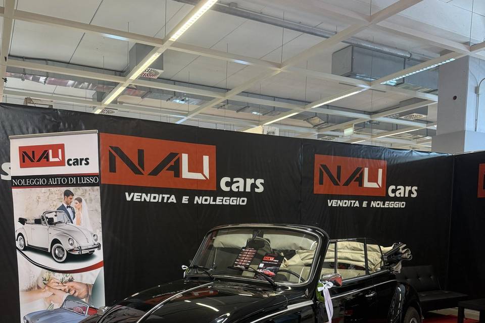 Maggiolino nero